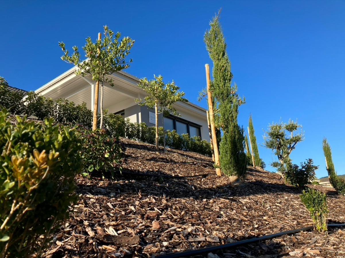 Neu - Premium-Ferienhaus Mosel-Sonne Traben-Trarbach Esterno foto